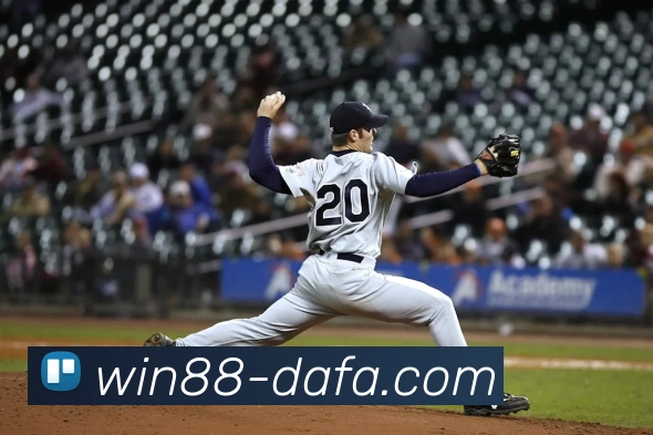 大发娱乐发展历程